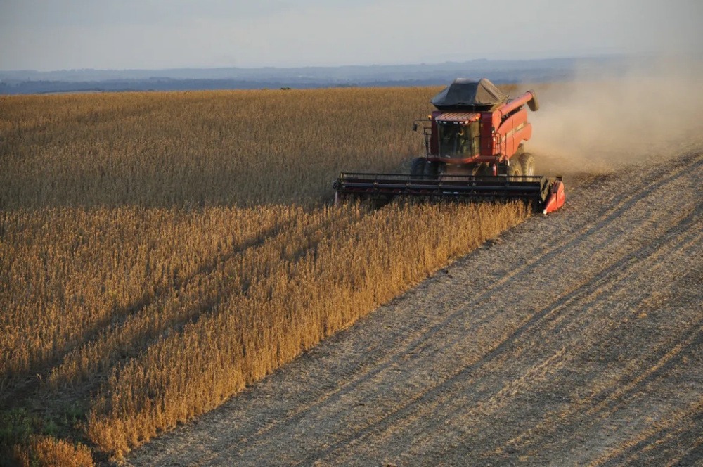 Key players in the agricultural ecosystem are facing a debt crisis, declining revenues and reduced access to credit